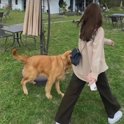 年轻的媳妇
